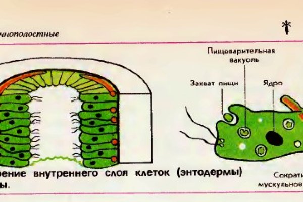 Правильная ссылка онион кракен